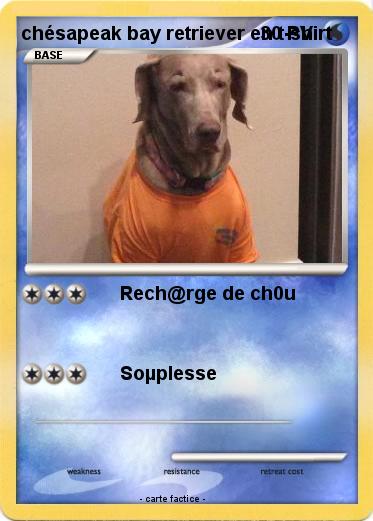 Pokemon chésapeak bay retriever en t-shirt