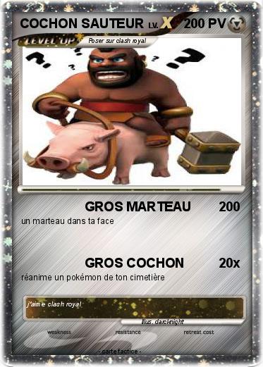 Pokemon COCHON SAUTEUR