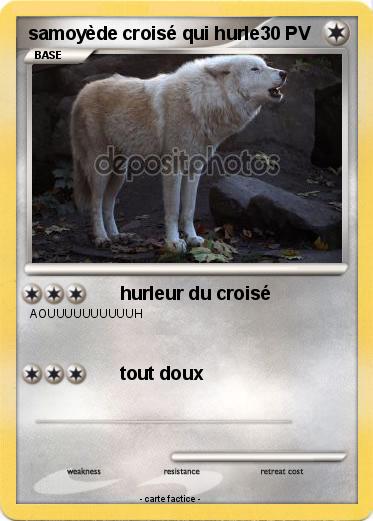 Pokemon samoyède croisé qui hurle