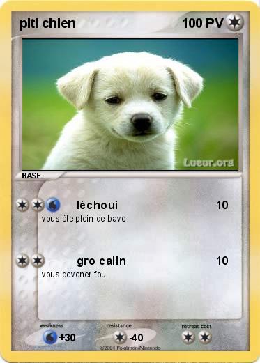 Pokemon piti chien