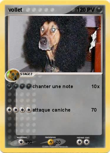 Pokemon vollet