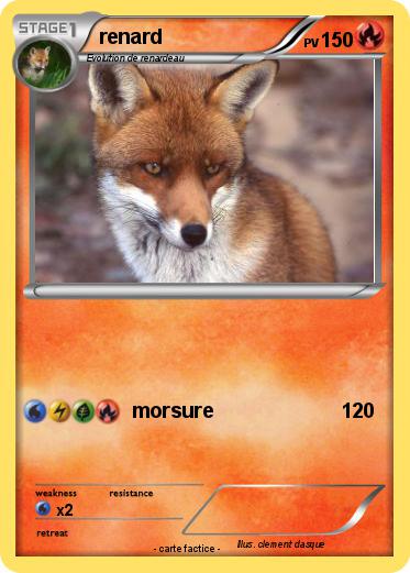 Pokemon renard