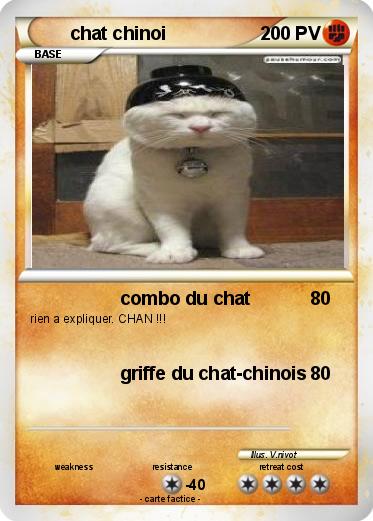 Pokemon chat chinoi