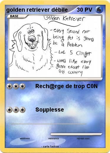 Pokemon golden retriever débile