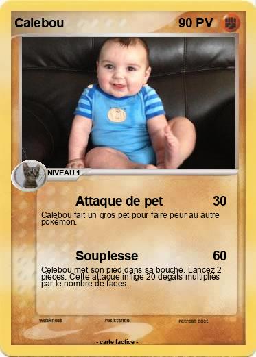 Pokemon Calebou