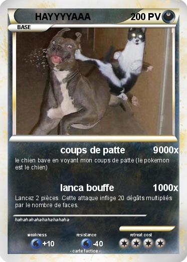 Pokemon HAYYYYAAA