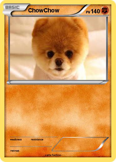 Pokemon ChowChow