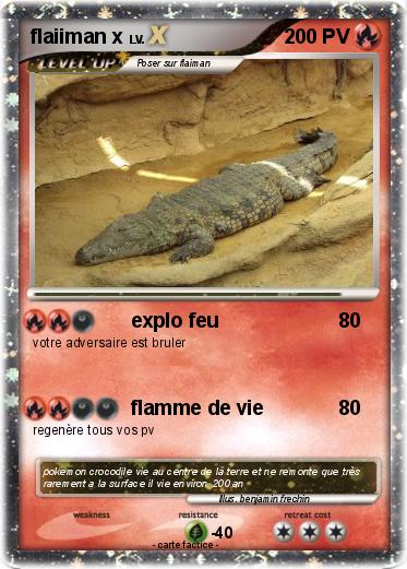 Pokemon flaiiman x
