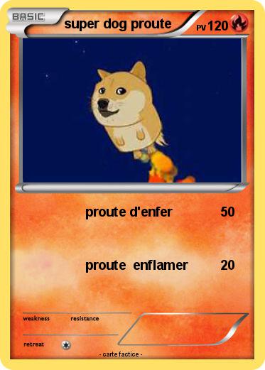 Pokemon super dog proute