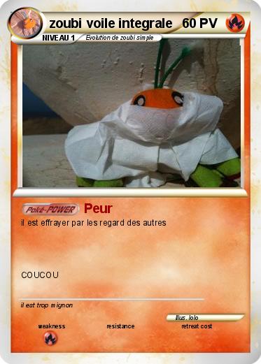 Pokemon zoubi voile integrale