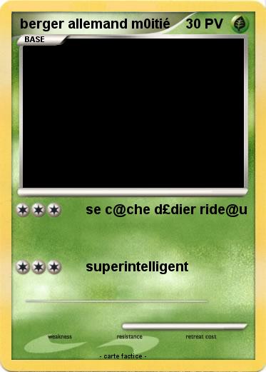 Pokemon berger allemand m0itié