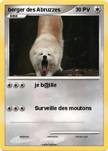 Pokemon berger des Abruzzes