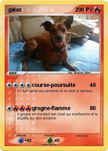 Pokemon galax