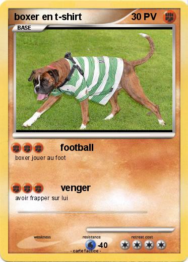 Pokemon boxer en t-shirt