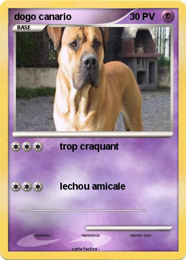 Pokemon dogo canario