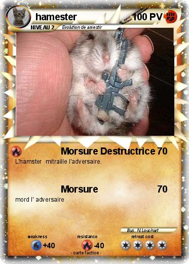 Pokemon hamester