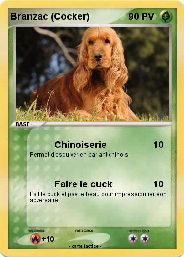 Pokemon Branzac (Cocker)