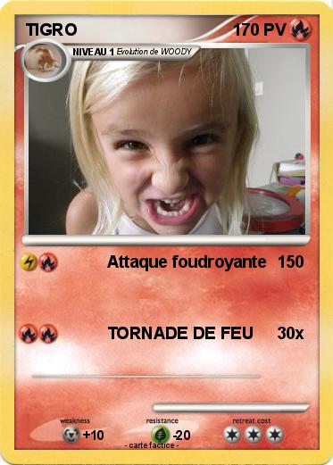 Pokemon TIGRO