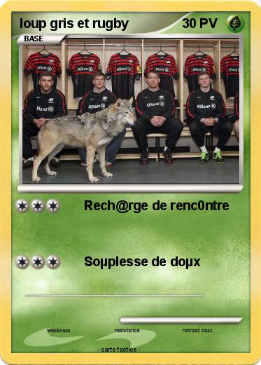 Pokemon loup gris et rugby