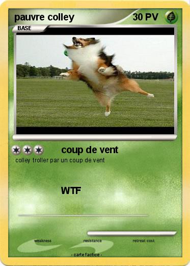 Pokemon pauvre colley