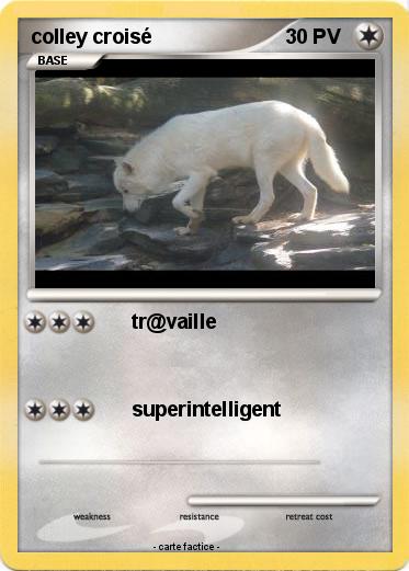 Pokemon colley croisé