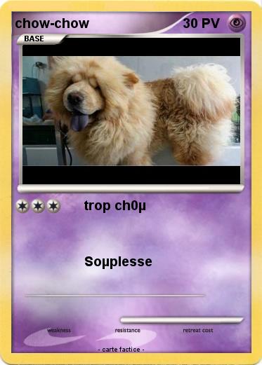 Pokemon chow-chow