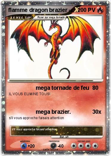 Pokemon flamme dragon brazier