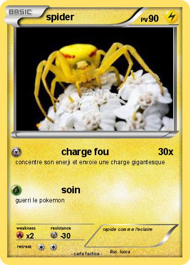 Pokemon spider