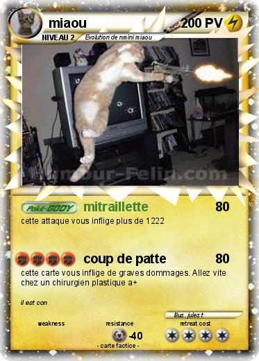 Pokemon miaou