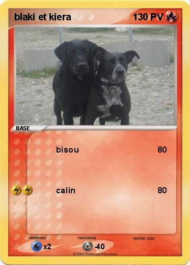 Pokemon blaki et kiera