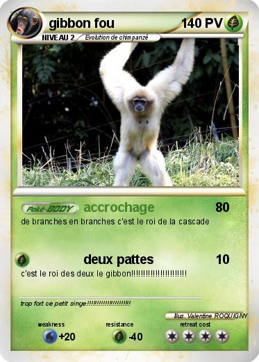 Pokemon gibbon fou