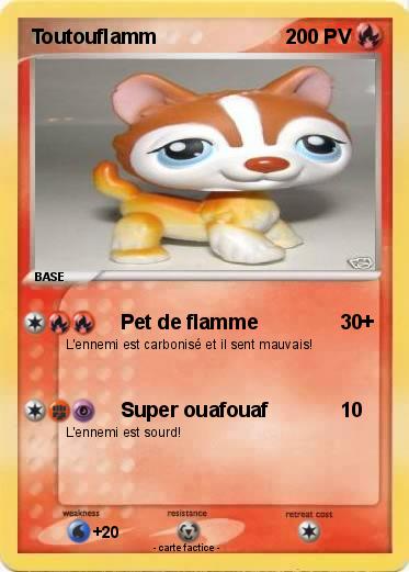 Pokemon Toutouflamm