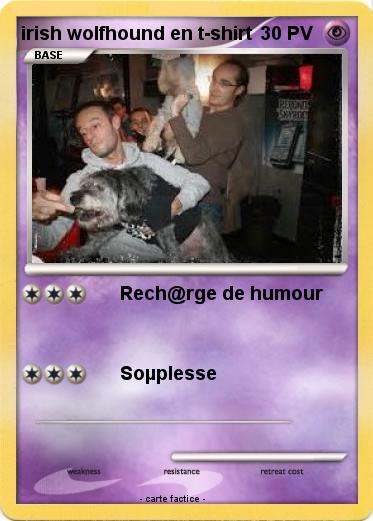 Pokemon irish wolfhound en t-shirt