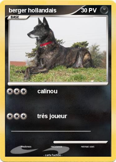 Pokemon berger hollandais