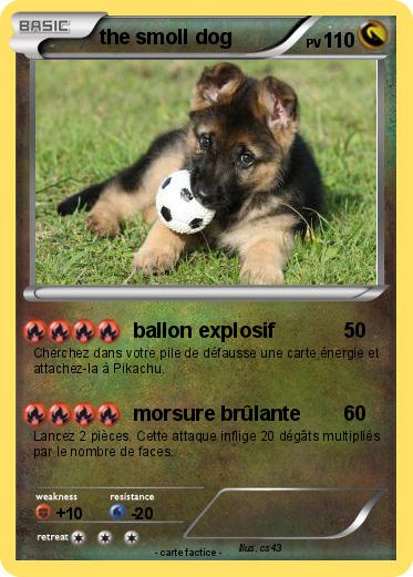 Pokemon the smoll dog