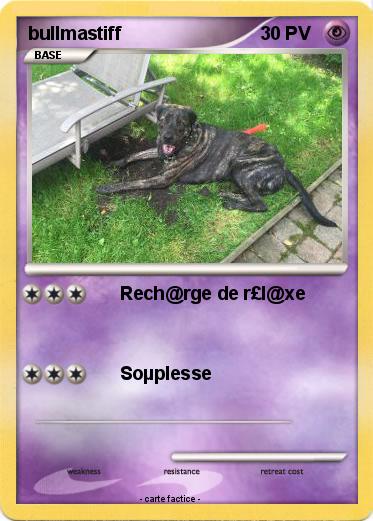 Pokemon bullmastiff