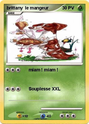 Pokemon brittany  le mangeur