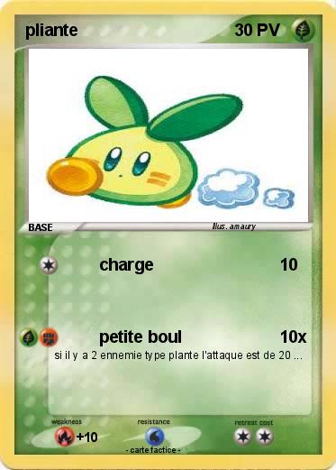 Pokemon pliante