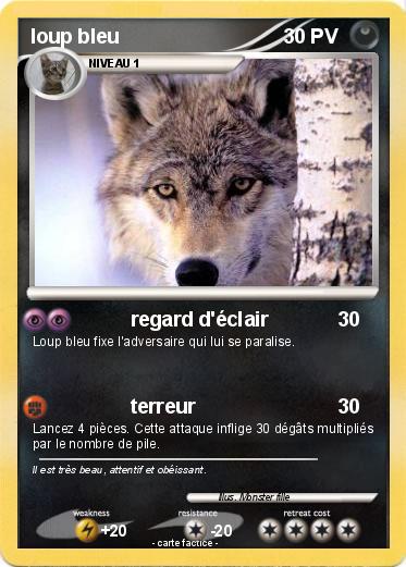 Pokemon loup bleu