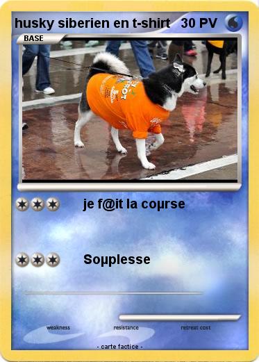 Pokemon husky siberien en t-shirt