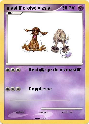 Pokemon mastiff croisé vizsla