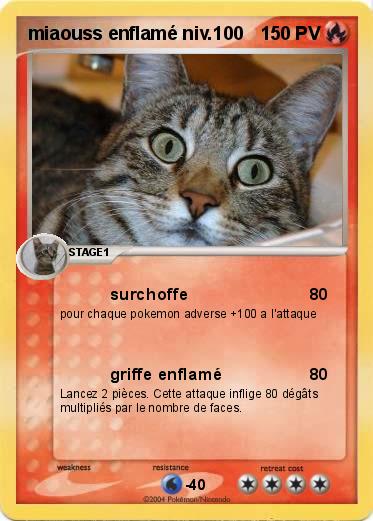 Pokemon miaouss enflamé niv.100