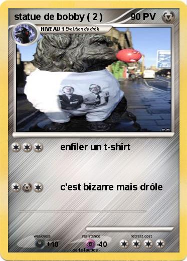 Pokemon statue de bobby ( 2 )