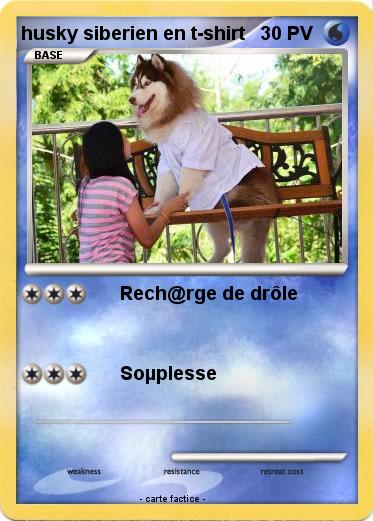 Pokemon husky siberien en t-shirt