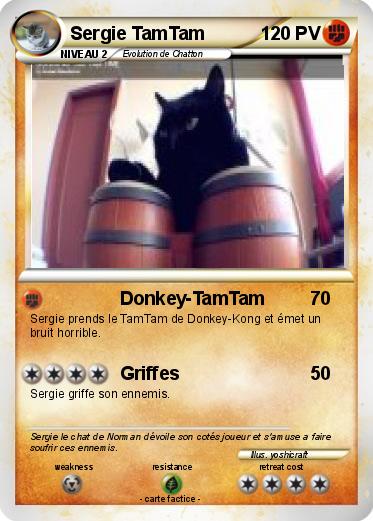 Pokemon Sergie TamTam