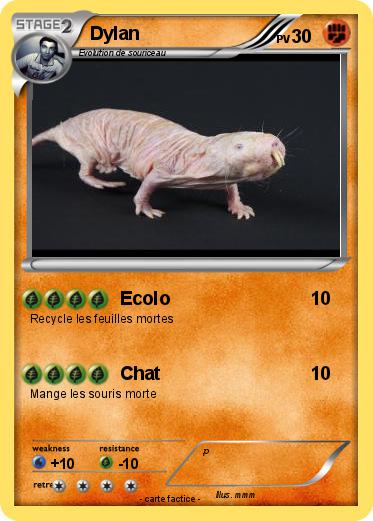Pokemon Dylan
