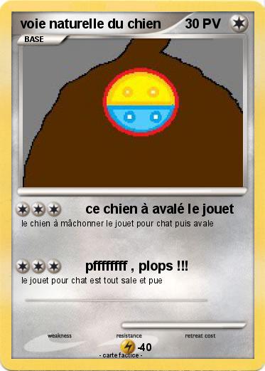 Pokemon voie naturelle du chien