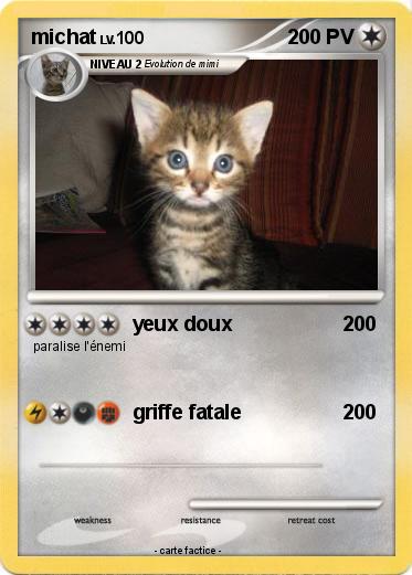 Pokemon michat