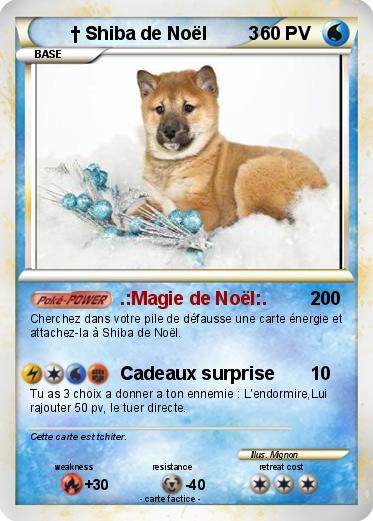 Pokemon † Shiba de Noël        3