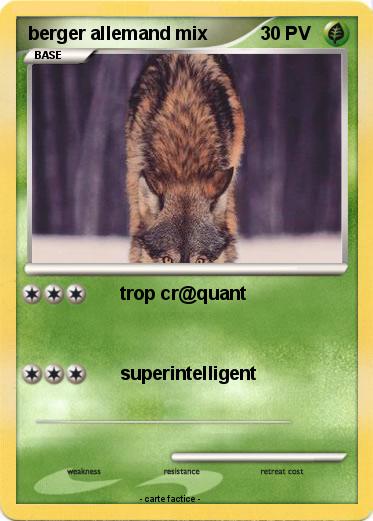 Pokemon berger allemand mix